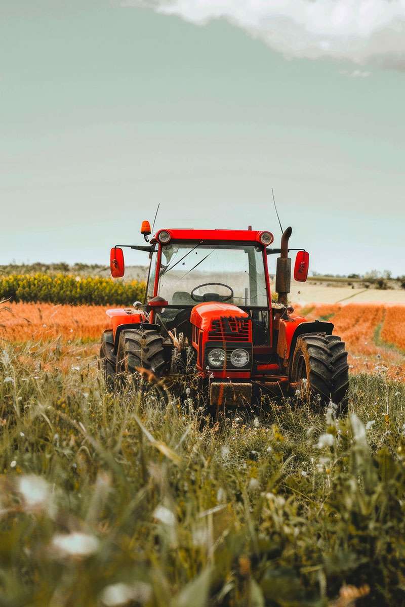 Directorio de empresas