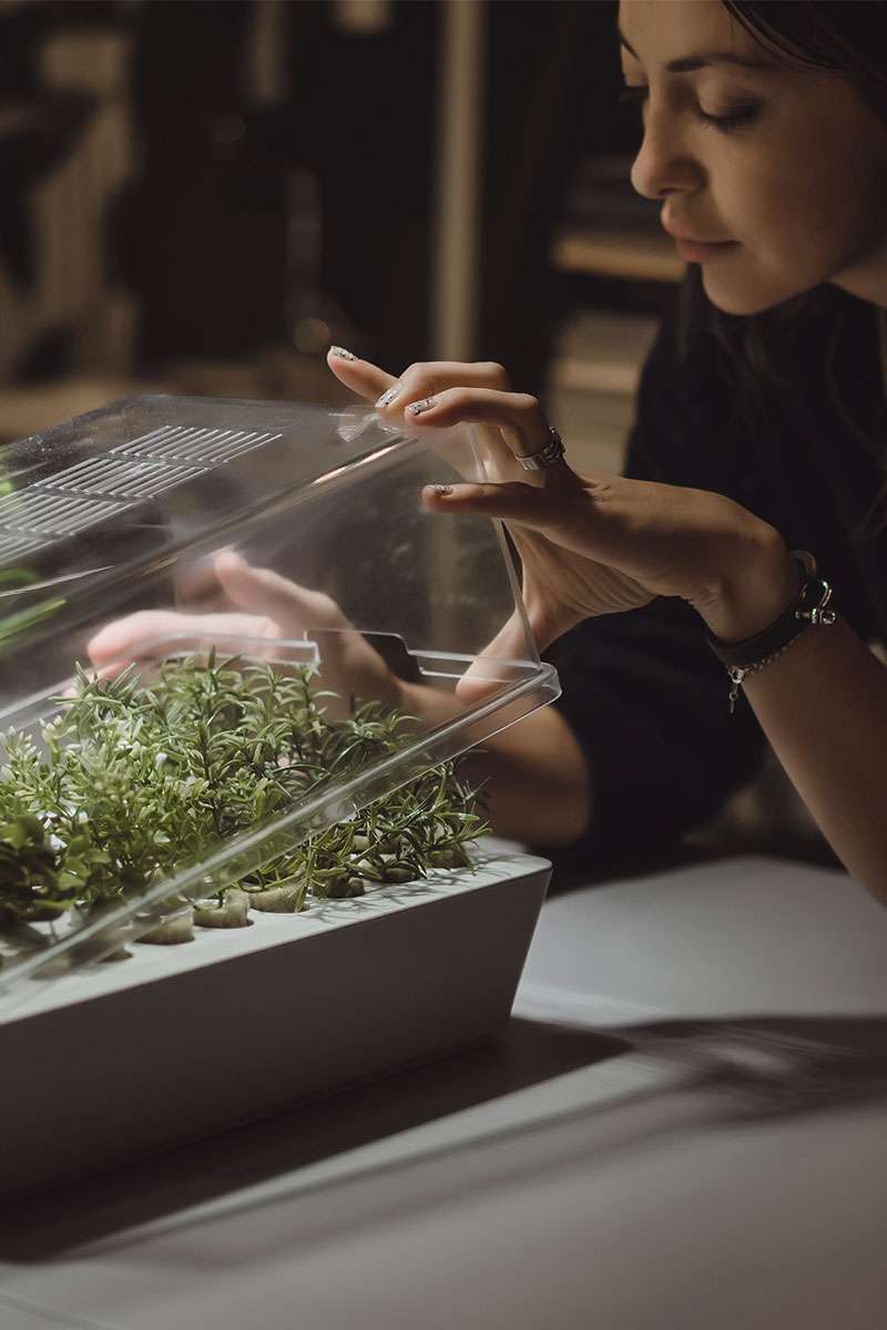 Directorio de empresas