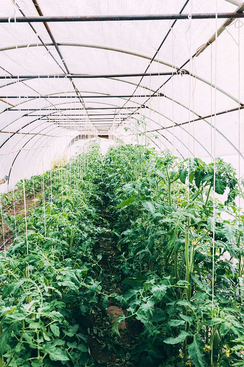 Directorio de empresas