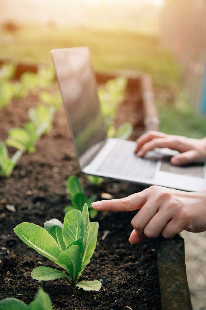 Directorio de empresas